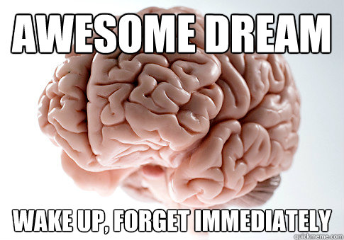 awesome dream wake up, forget immediately  Scumbag Brain