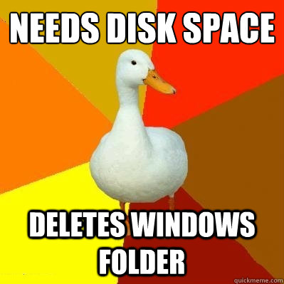 needs disk space deletes windows folder  Tech Impaired Duck