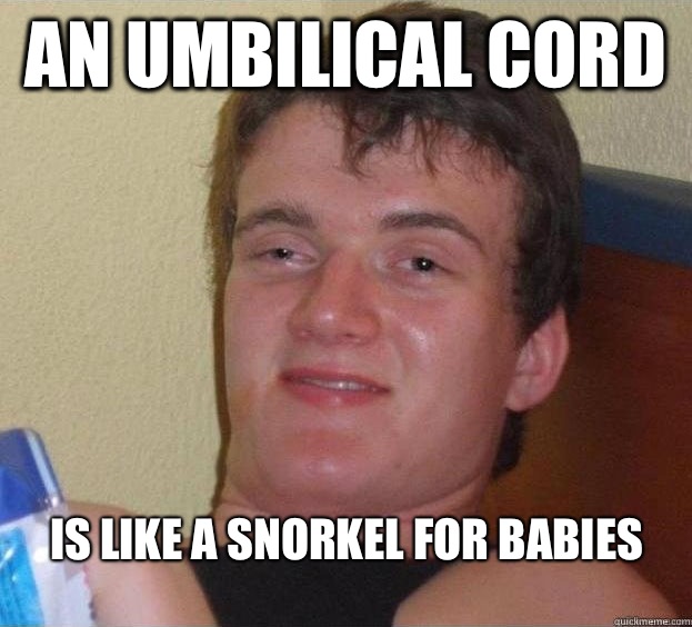 An umbilical cord  Is like a snorkel for babies  - An umbilical cord  Is like a snorkel for babies   The High Guy