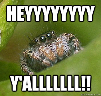 heyyyyyyyy y'alllllll!!  Misunderstood Spider