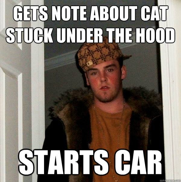 Gets note about cat stuck under the hood starts car  Scumbag Steve