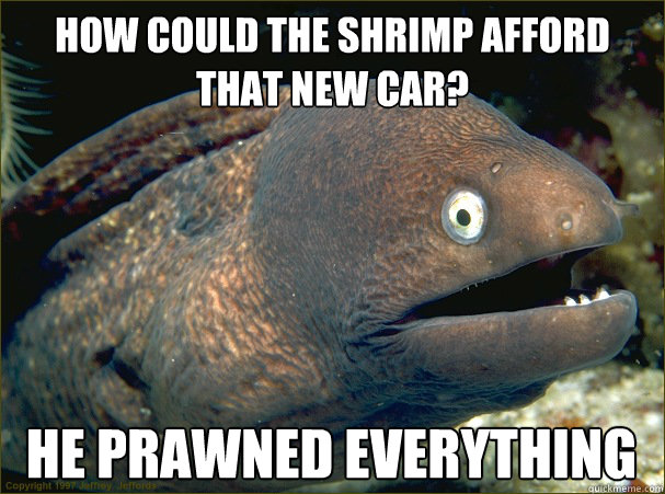 How could the shrimp afford that new car? he prawned everything  Bad Joke Eel