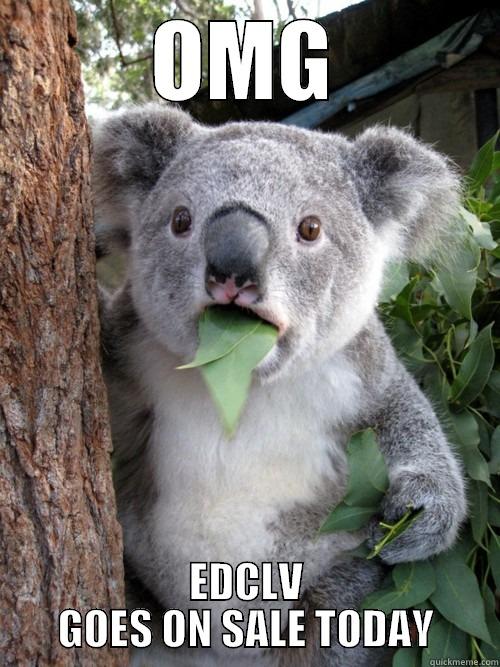 OMG EDCLV GOES ON SALE TODAY koala bear