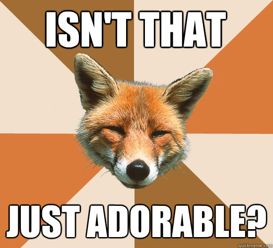 Isn't that just adorable?  Condescending Fox