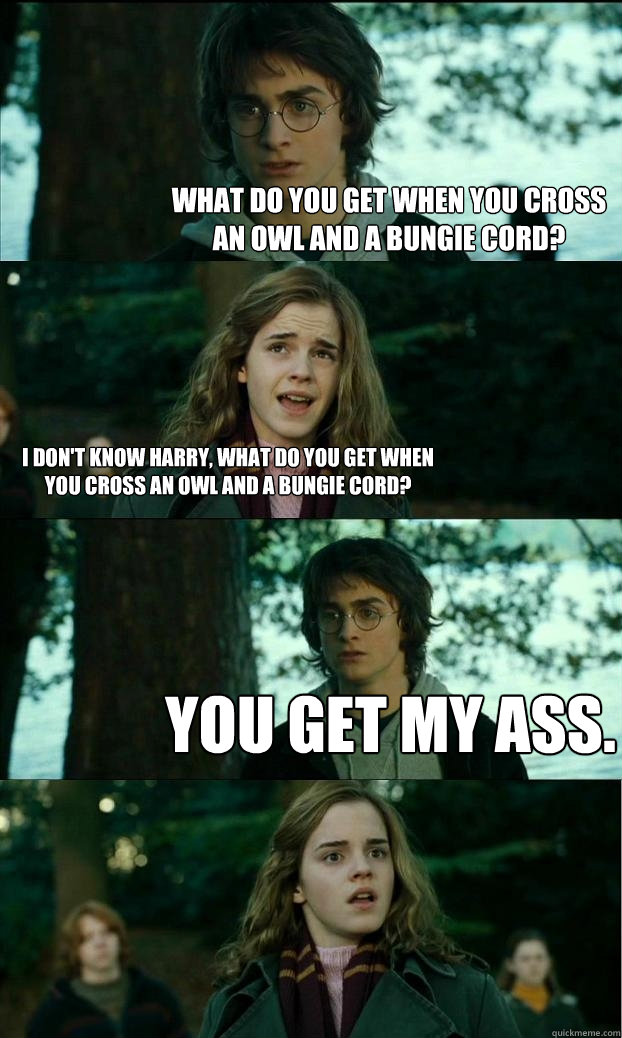 What do you get when you cross an owl and a bungie cord? I don't know Harry, what do you get when you cross an owl and a bungie cord? You get my ass. - What do you get when you cross an owl and a bungie cord? I don't know Harry, what do you get when you cross an owl and a bungie cord? You get my ass.  Horny Harry