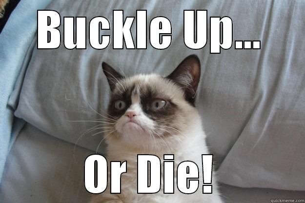 Buckle up please - BUCKLE UP... OR DIE! Grumpy Cat