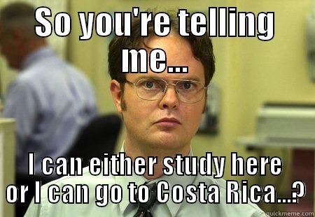 SO YOU'RE TELLING ME... I CAN EITHER STUDY HERE OR I CAN GO TO COSTA RICA...? Schrute