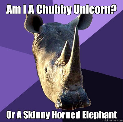 Am I A Chubby Unicorn? Or A Skinny Horned Elephant  Sexually Oblivious Rhino