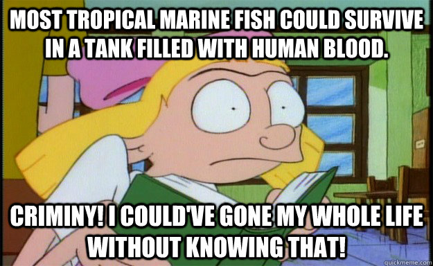 Most tropical marine fish could survive in a tank filled with human blood. Criminy! I could've gone my whole life without knowing that! - Most tropical marine fish could survive in a tank filled with human blood. Criminy! I could've gone my whole life without knowing that!  Helga TMI