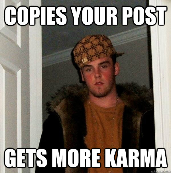 Copies your post Gets more karma  Scumbag Steve