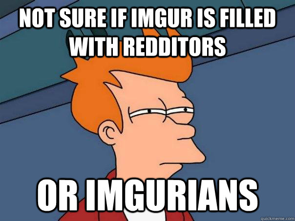 Not sure if Imgur is filled with Redditors Or Imgurians  Futurama Fry