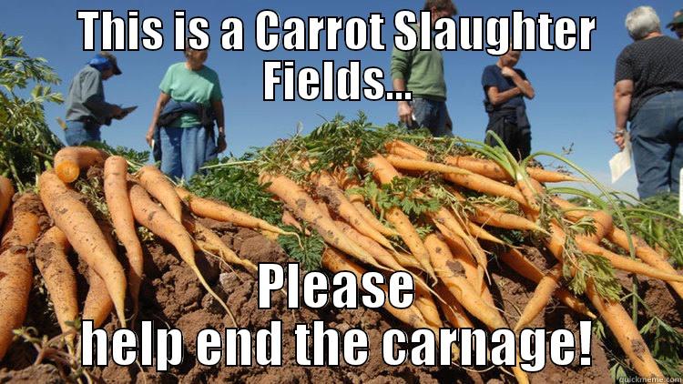 THIS IS A CARROT SLAUGHTER FIELDS... PLEASE HELP END THE CARNAGE! Misc