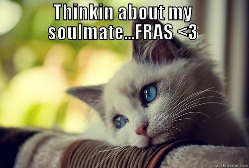 THINKIN ABOUT MY SOULMATE...FRAS <3  First World Problems Cat