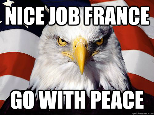 Nice job France Go with peace  Patriotic American Eagle