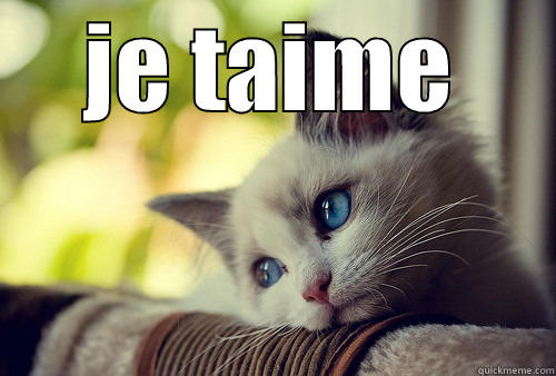 JE TAIME  First World Problems Cat