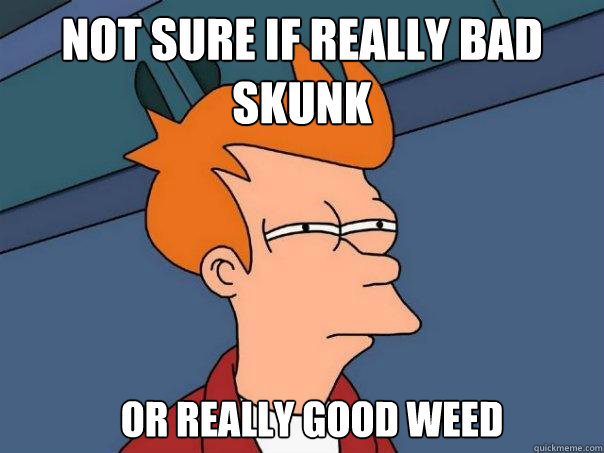 not sure if really bad skunk or really good weed  Futurama Fry