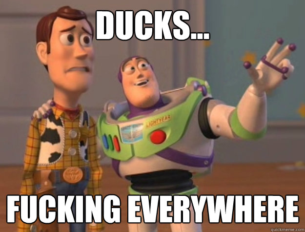 Ducks... Fucking everywhere  Buzz Lightyear