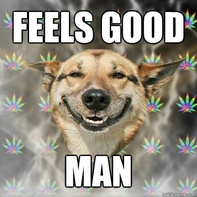 Feels good man  Stoner Dog