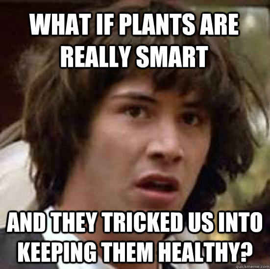 What if plants are really smart and they tricked us into keeping them healthy?  conspiracy keanu