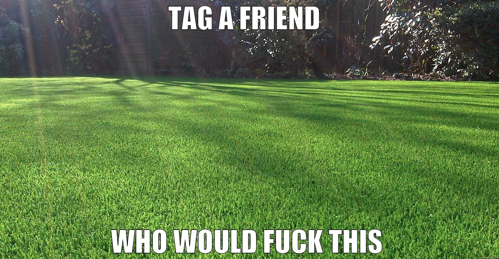 Tag a friend - TAG A FRIEND  WHO WOULD FUCK THIS Misc