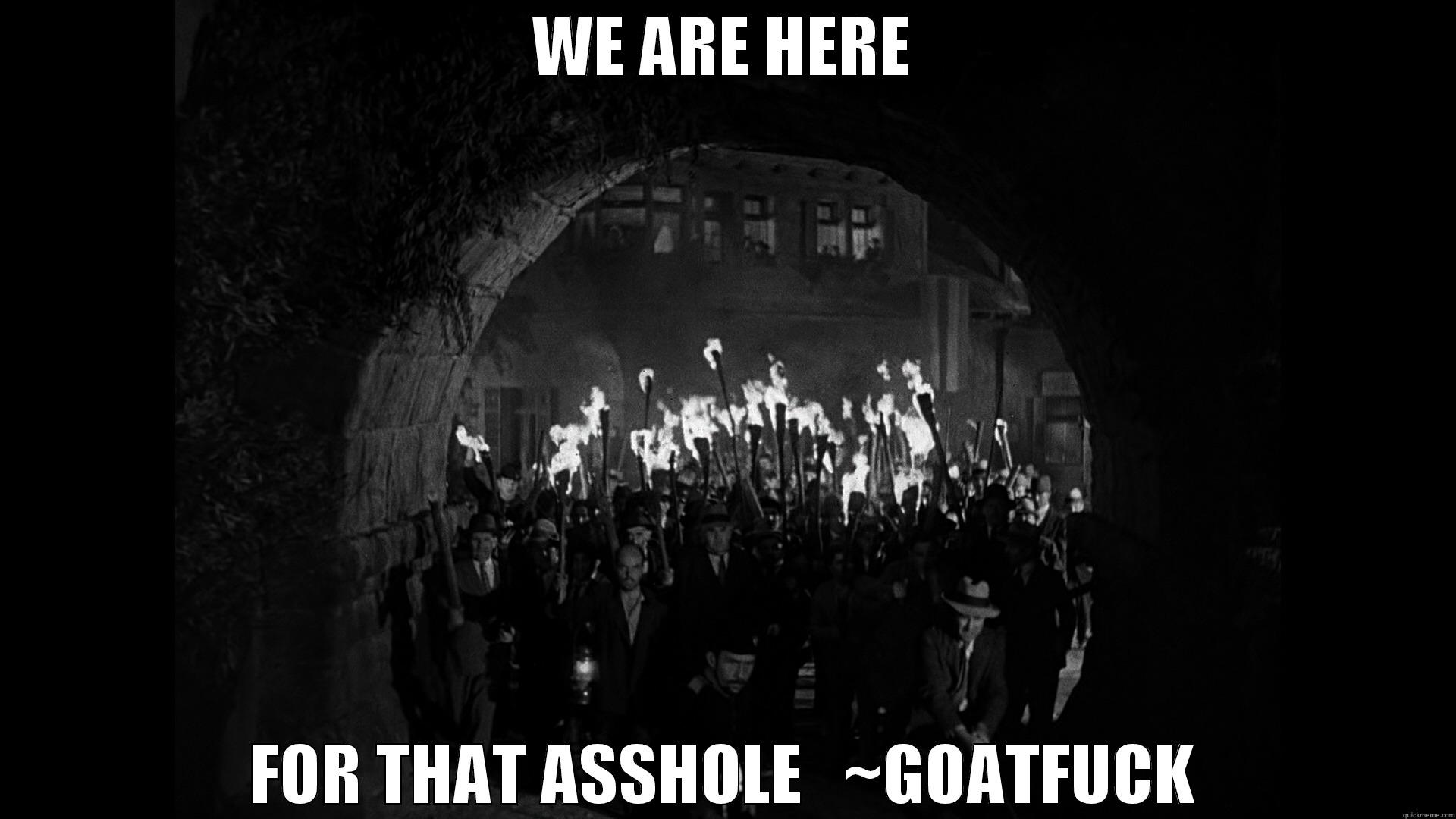 FUCK FUN RUN - WE ARE HERE FOR THAT ASSHOLE   ~GOATFUCK Misc