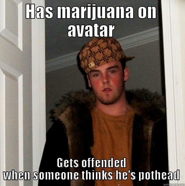 HAS MARIJUANA ON AVATAR GETS OFFENDED WHEN SOMEONE THINKS HE'S POTHEAD Scumbag Steve