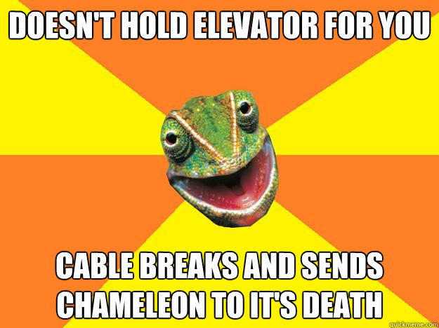 Doesn't hold elevator for you Cable breaks and sends chameleon to it's death  Karma Chameleon