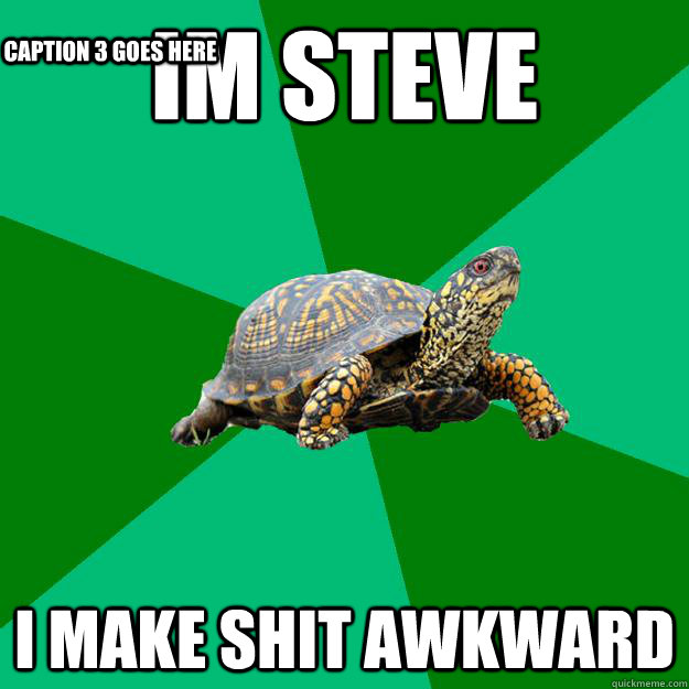 im steve i make shit awkward Caption 3 goes here  Torrenting Turtle