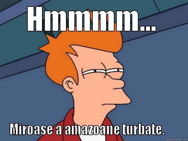 HMMMM... MIROASE A AMAZOANE TURBATE.      Futurama Fry