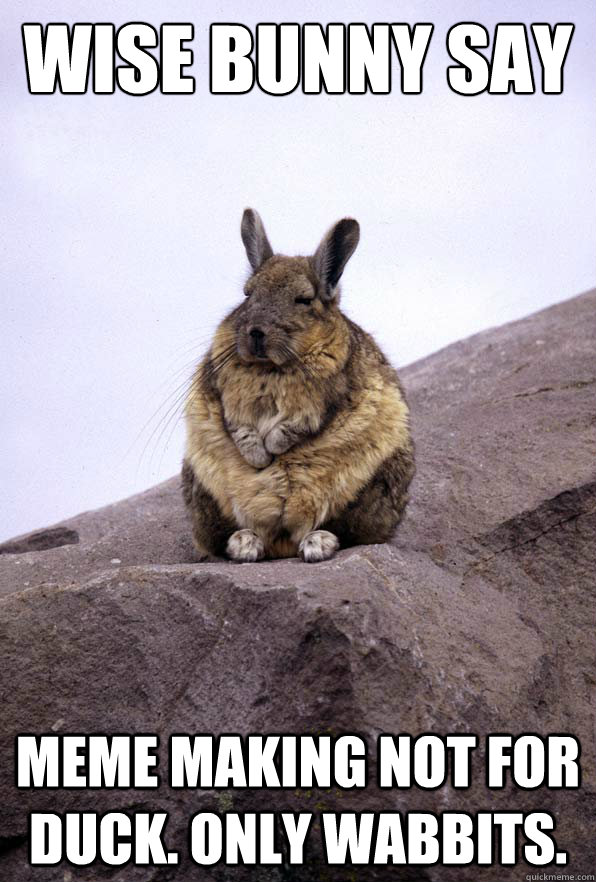 Wise bunny say meme making not for duck. only wabbits. - Wise bunny say meme making not for duck. only wabbits.  Wise Bunny