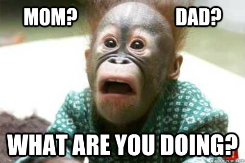 mom?                          dad? what are you doing? - mom?                          dad? what are you doing?  Shocked Orangutan