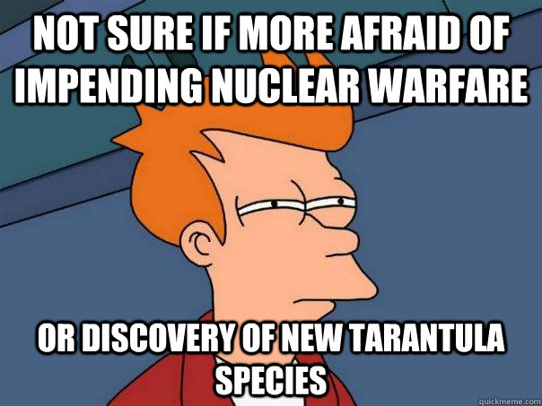 Not sure if more afraid of impending nuclear warfare or discovery of new tarantula species  Futurama Fry