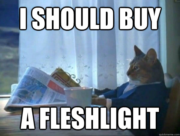 I SHOULD BUY A FLESHLIGHT  morning realization newspaper cat meme