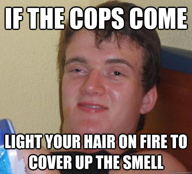 if the cops come light your hair on fire to cover up the smell  10 Guy