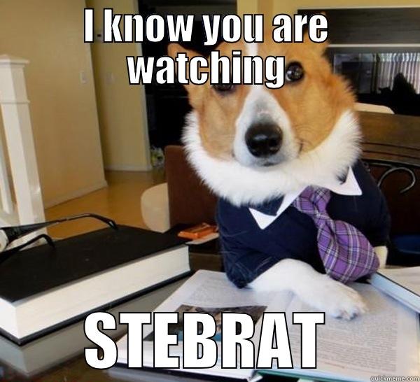 I KNOW YOU ARE WATCHING STEBRAT Lawyer Dog