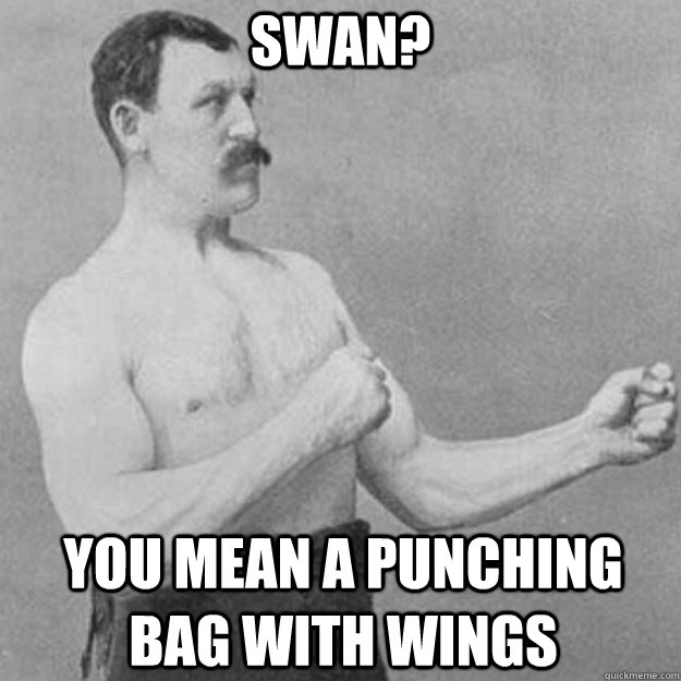 swan? you mean a punching bag with wings  overly manly man