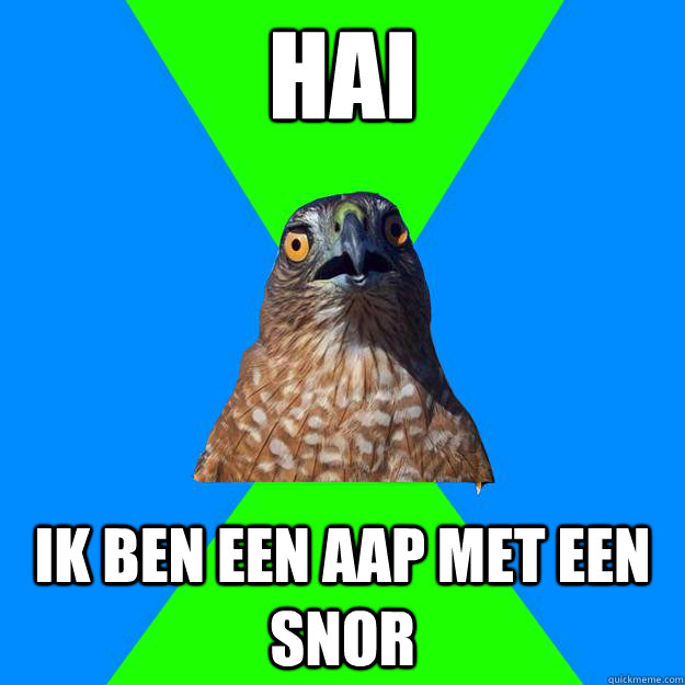 Hai  Ik ben een aap met een snor  Hawkward