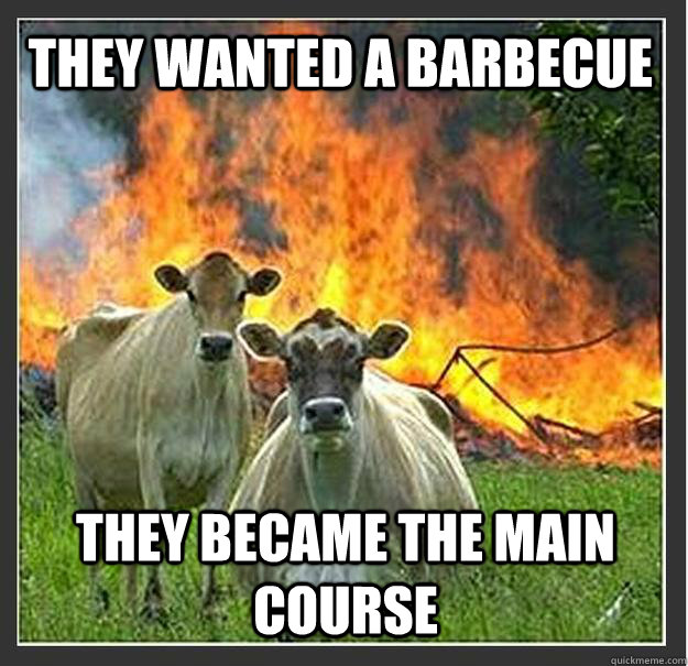 They wanted a barbecue They became the main course   Evil cows