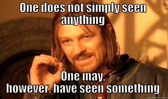 Grammar Meme - ONE DOES NOT SIMPLY SEEN ANYTHING ONE MAY, HOWEVER, HAVE SEEN SOMETHING Boromir