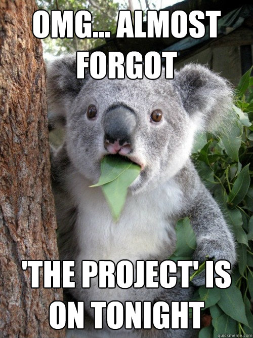 OMG... almost forgot 'The Project' is on tonight - OMG... almost forgot 'The Project' is on tonight  koala bear