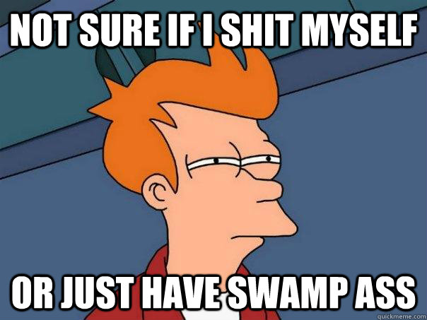 Not sure if I shit myself Or just have swamp ass  Futurama Fry