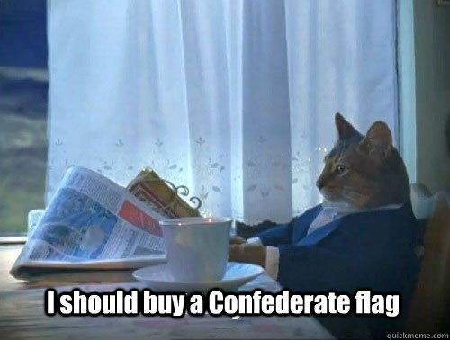 I should buy a Confederate flag  Fancy Cat