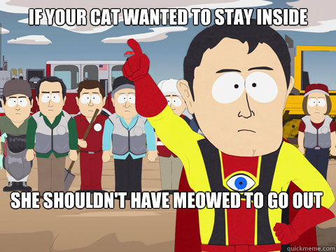 If your cat wanted to stay inside she shouldn't have meowed to go out - If your cat wanted to stay inside she shouldn't have meowed to go out  Captain Hindsight