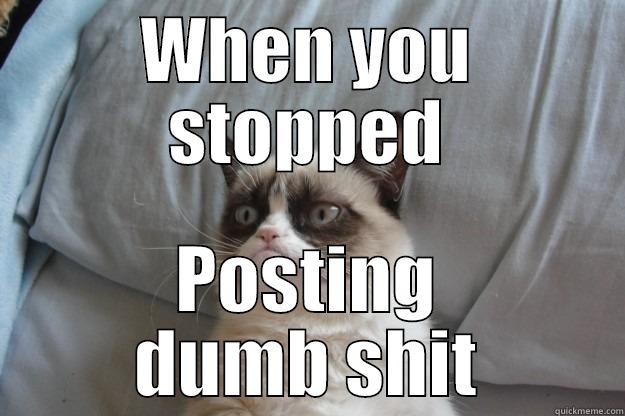 WHEN YOU STOPPED POSTING DUMB SHIT Grumpy Cat