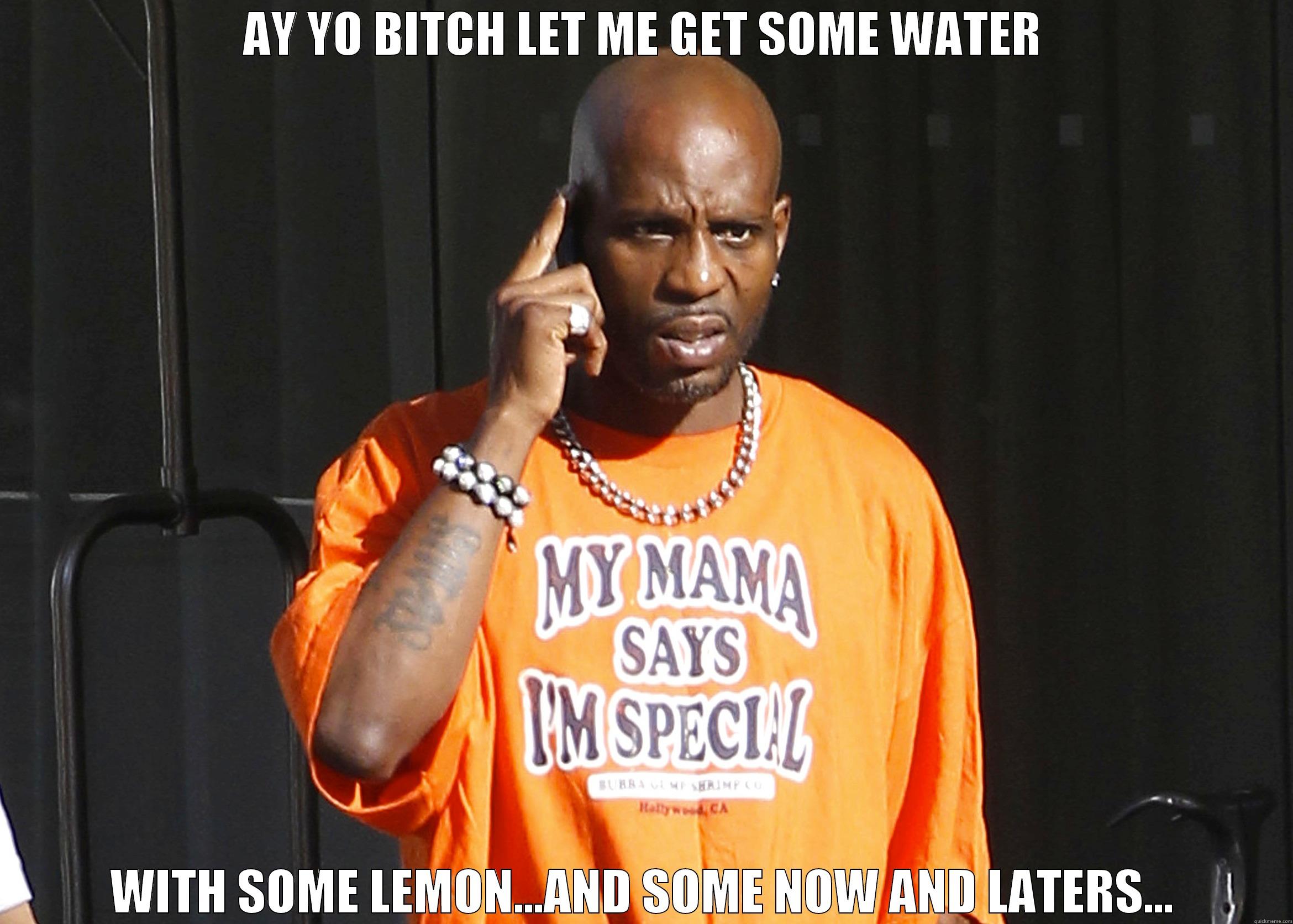 ay yo - AY YO BITCH LET ME GET SOME WATER WITH SOME LEMON...AND SOME NOW AND LATERS... Misc