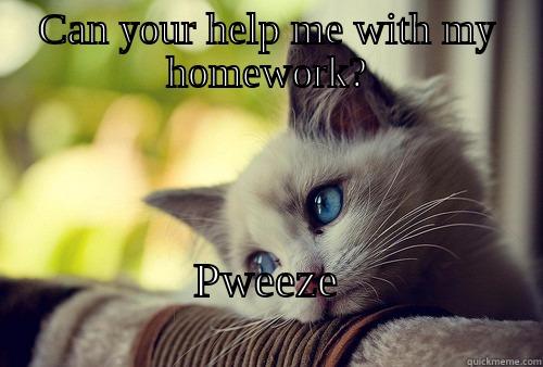 Today's Question of the Day: - CAN YOUR HELP ME WITH MY HOMEWORK? PWEEZE                                  First World Problems Cat