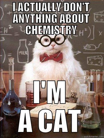 I ACTUALLY DON'T ANYTHING ABOUT CHEMISTRY I'M A CAT Chemistry Cat