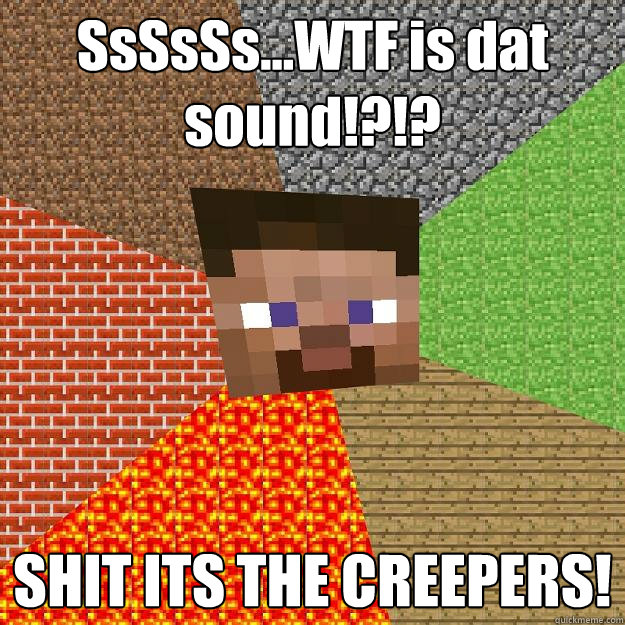 SsSsSs...WTF is dat sound!?!? SHIT ITS THE CREEPERS! - SsSsSs...WTF is dat sound!?!? SHIT ITS THE CREEPERS!  Minecraft