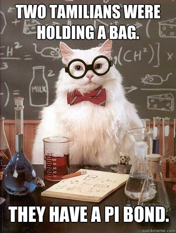 Two tamilians were holding a bag. They have a Pi bond.  Chemistry Cat