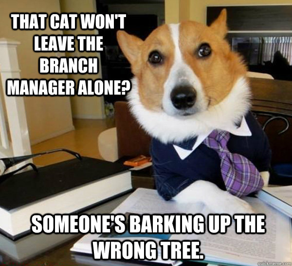 that cat won't leave the branch manager alone? someone's barking up the wrong tree.  Lawyer Dog